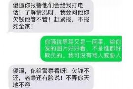 渠县渠县的要账公司在催收过程中的策略和技巧有哪些？